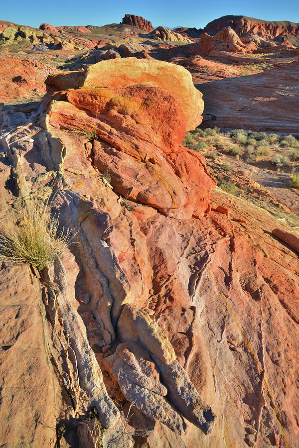 Multicolored Sandstone of Valley of Fire Photograph by Ray Mathis