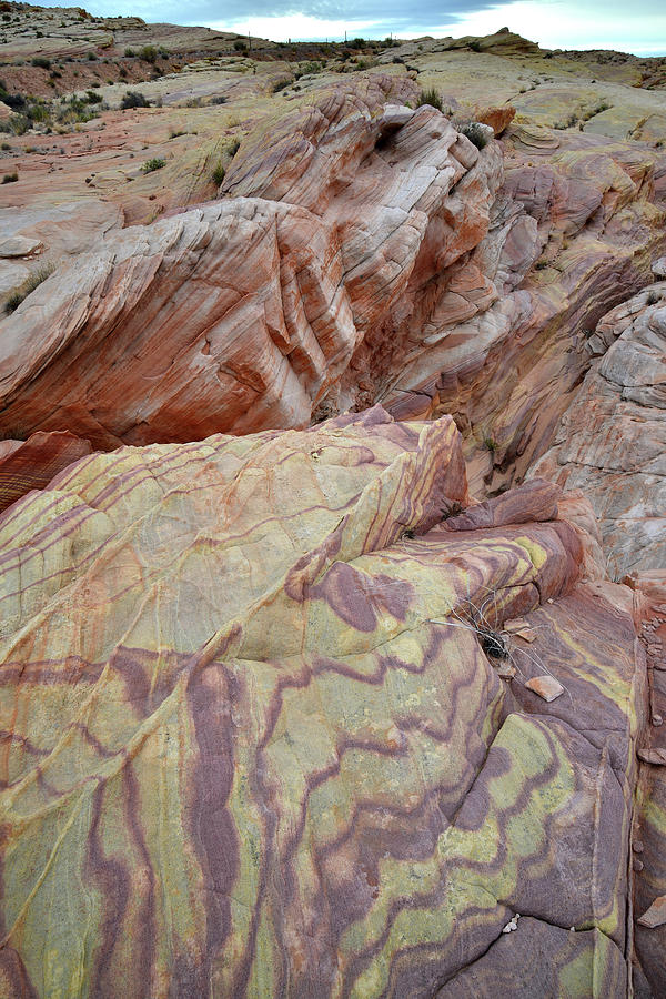 Multicolored Sandstone Swirls in Valley of Fire Photograph by Ray Mathis