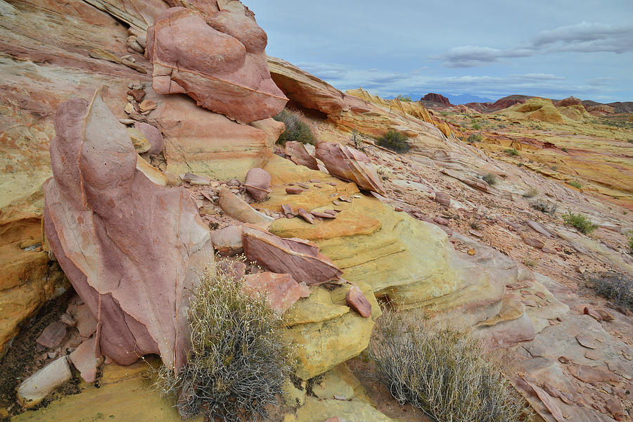 Multicolored Slopes of Valley of Fire Photograph by Ray Mathis