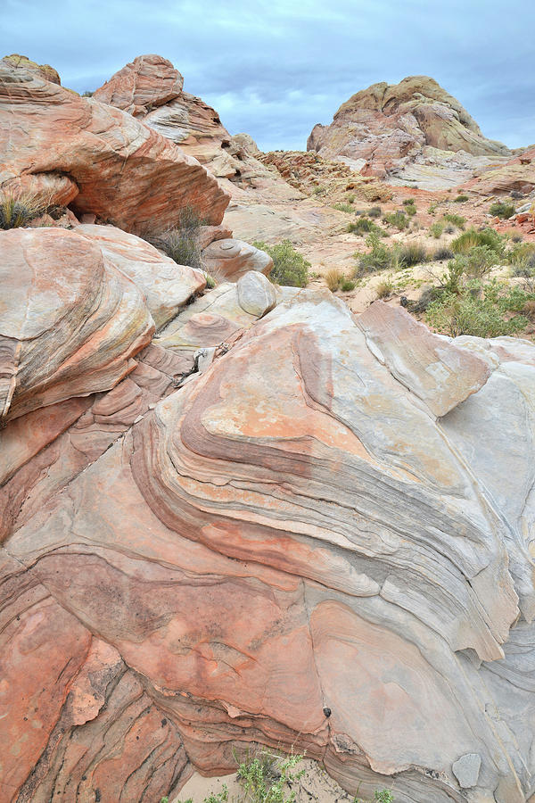 Multicolored Valley of Fire Sandstone Photograph by Ray Mathis