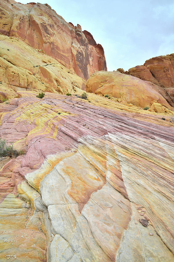 Multicolored Wave in Valley of Fire Photograph by Ray Mathis