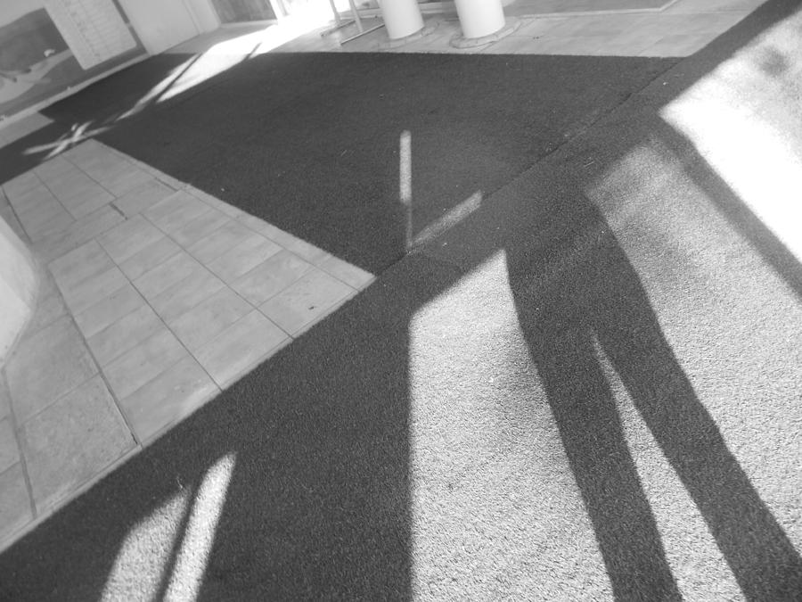 Me and My Shadow Photograph by Esther Newman-Cohen