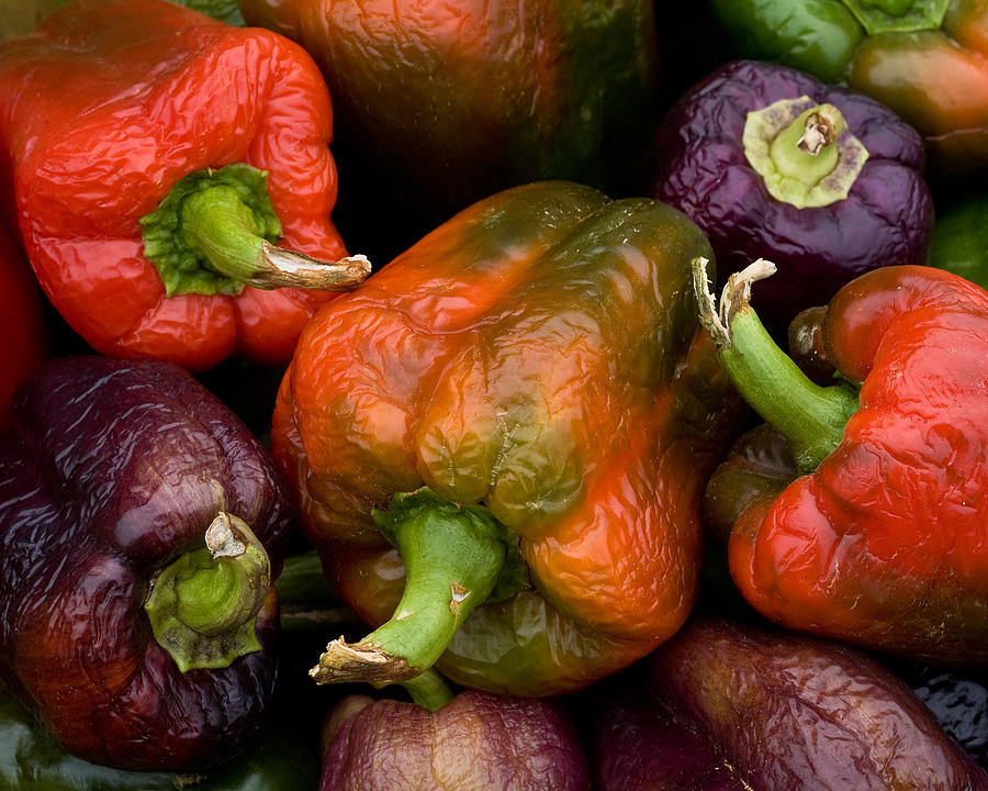 Multiple Colored Peppers Photograph by John Gilroy