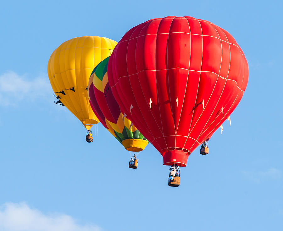 Multiple Hot air Balloons 5 Photograph by Charles McCleanon