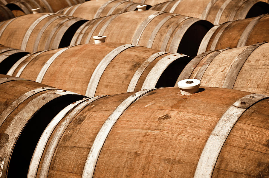 Multiple Wine Barrels in a cellar Photograph by Brandon Bourdages