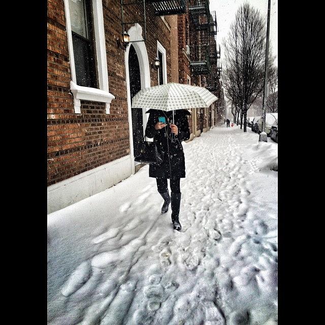 Winter Photograph - Multitasker #made_in_nyc by Monica Zorrilla