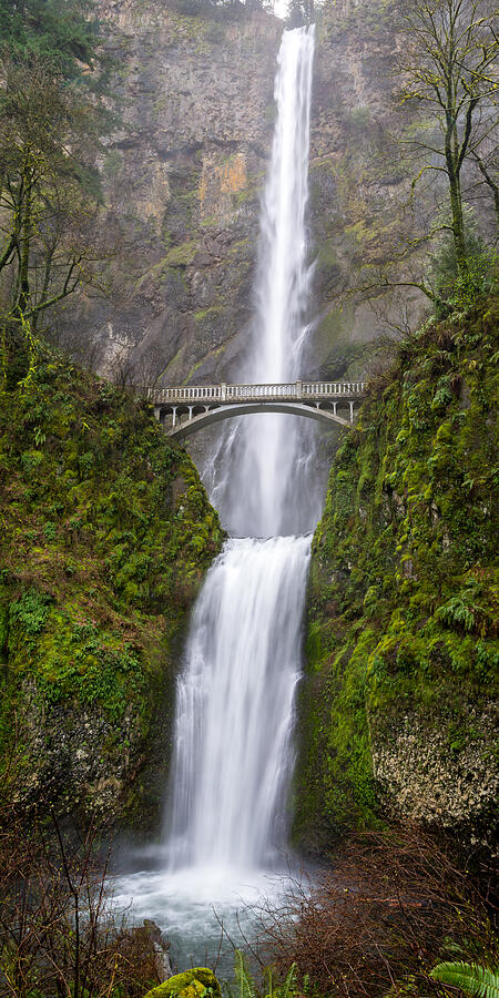 Multnomah Falls Photograph by Matthew Alberts | Fine Art America