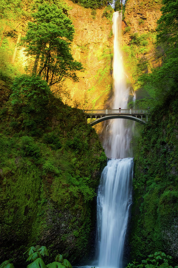 Multnomah Photograph by Aaron Hagen - Fine Art America