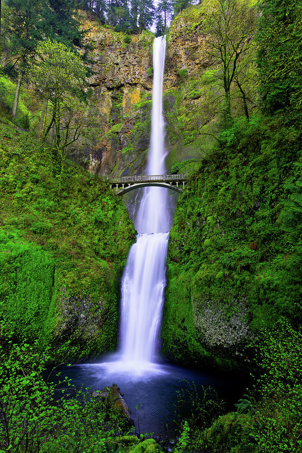 Waterfall Photograph - Multnomah Dream by Chad Dutson
