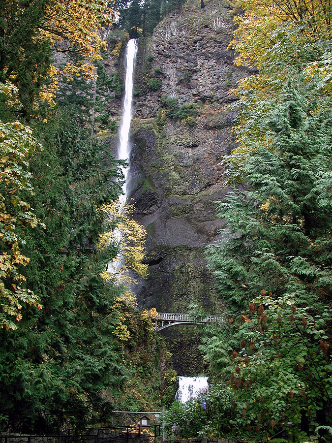 Multnomah Falls - 5 Photograph by DArcy Evans