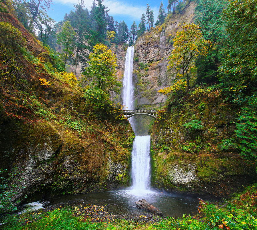 Multnomah Falls Full View Photograph by Doug Oriard - Pixels