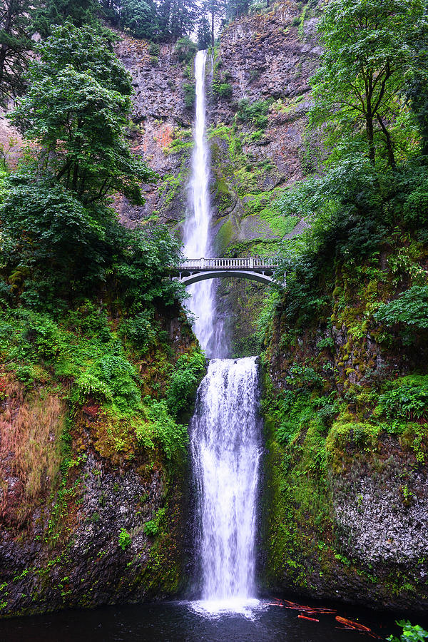 Multnomah Falls 5 Photograph By Clyn Robinson - Fine Art America