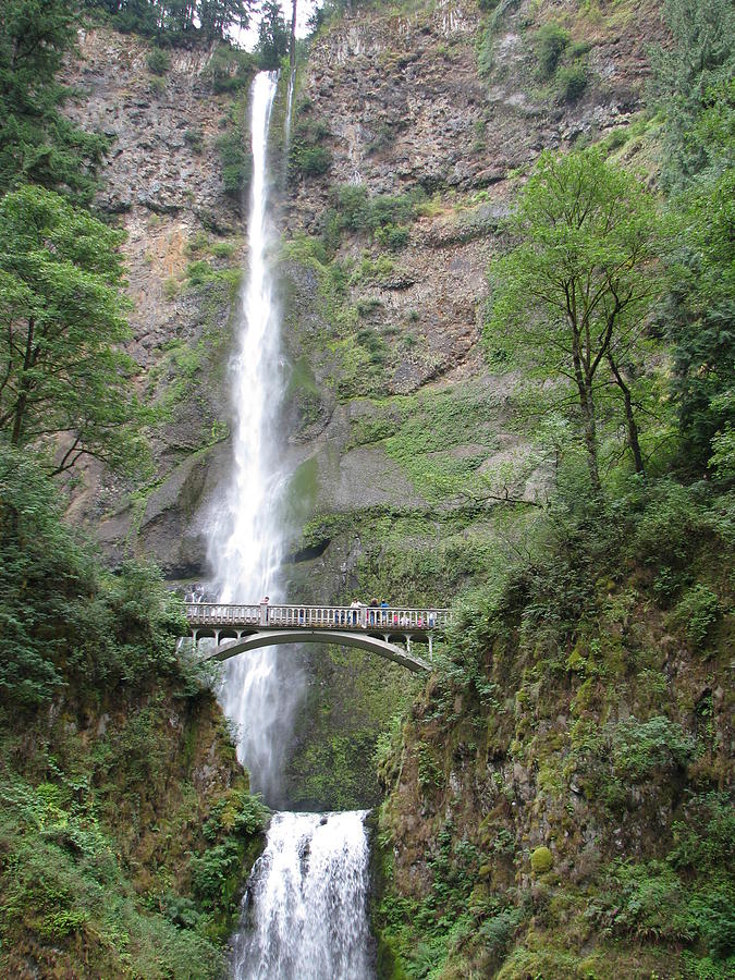 Multnomah Falls Photograph by Amity Kloss - Fine Art America