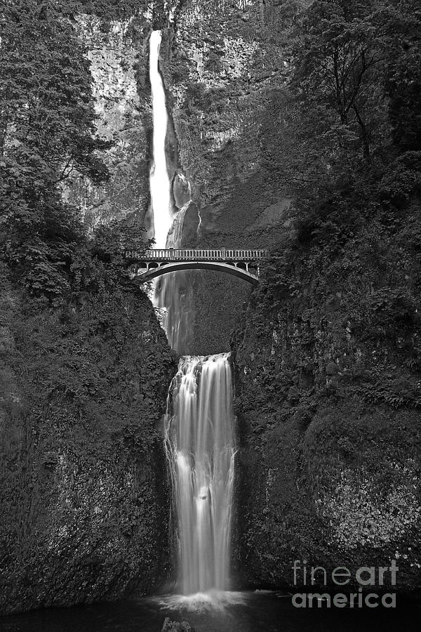 Multnomah Falls At Summer Solstice black and white Photograph by Rich Walter