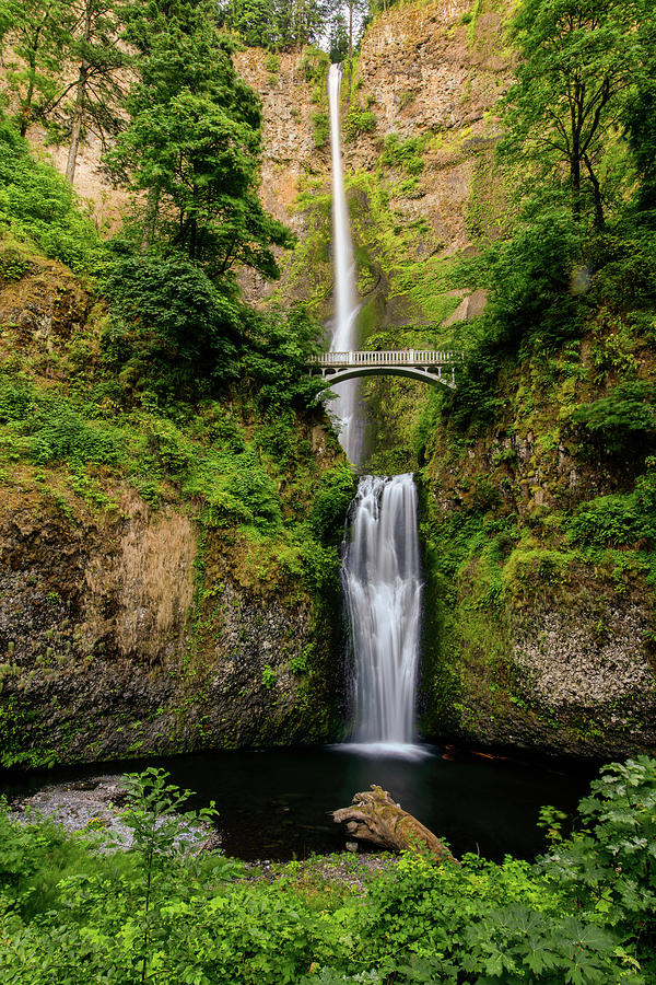 Multnomah Falls Photograph by Charlie Choc - Fine Art America