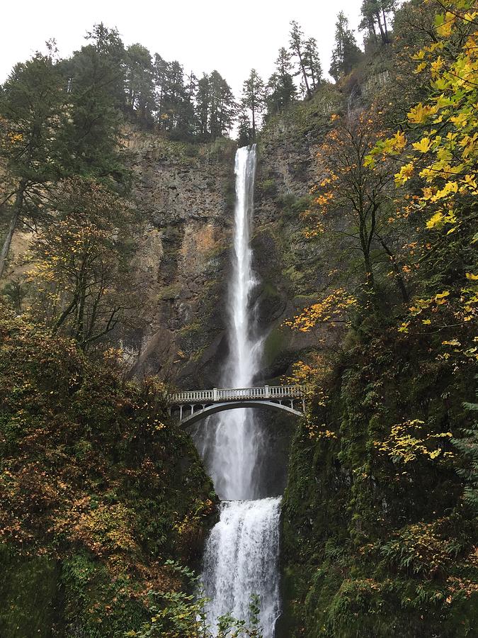 Multnomah Falls Photograph by Dani Keating - Fine Art America