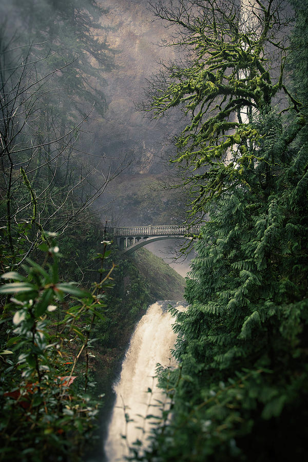 Multnomah Falls Photograph