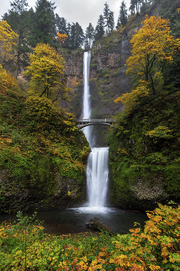 Multnomah Falls in Autumn Photograph by Jit Lim - Fine Art America