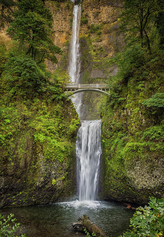 Multnomah Falls in Autumn Photograph by Richard Jones - Fine Art America