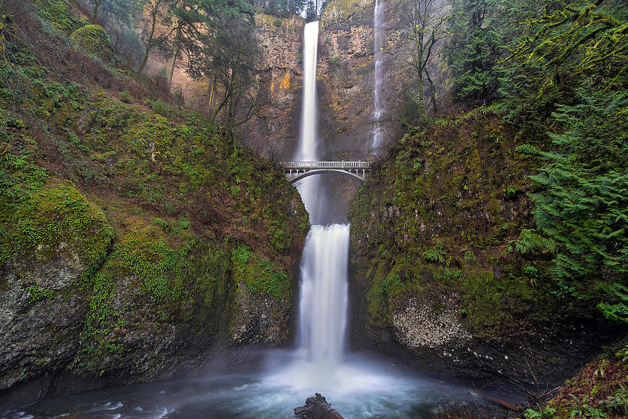 Multnomah Falls in Spring Photograph by David Gn