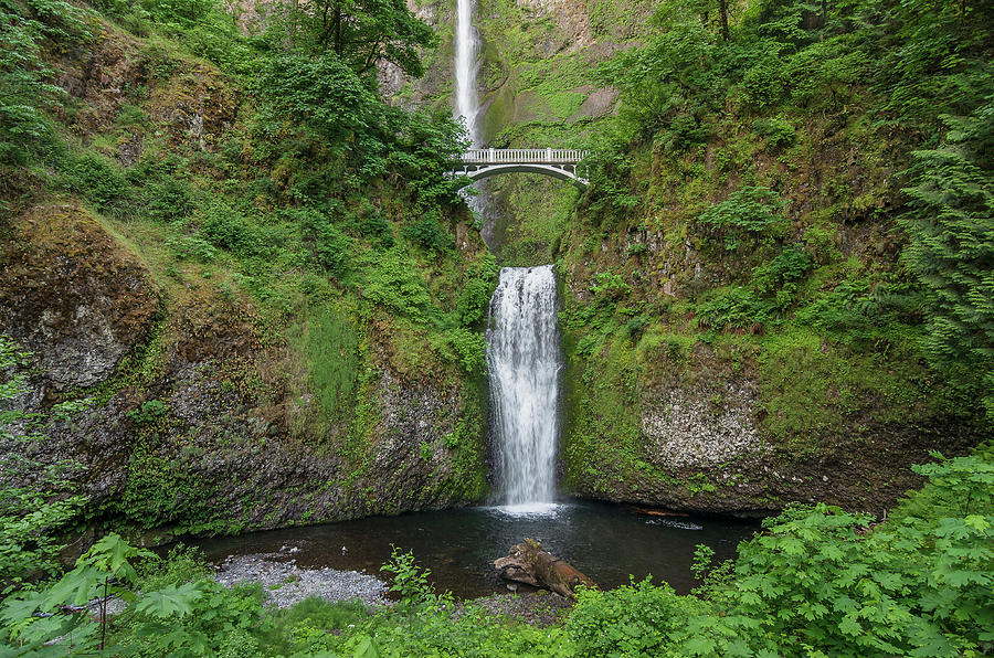 Multnomah Falls in Spring Photograph by Greg Nyquist