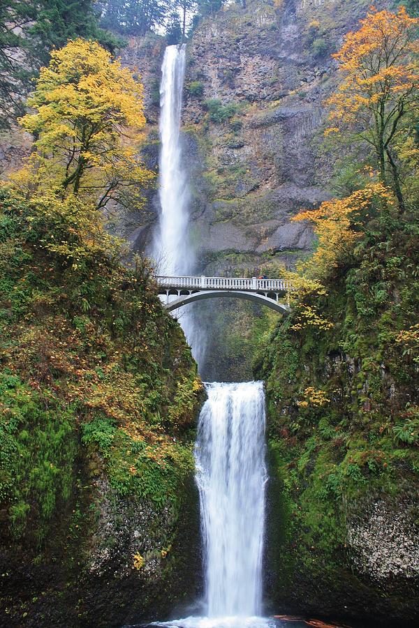 Multnomah Falls in the Autumn Photograph by Bruce Bley