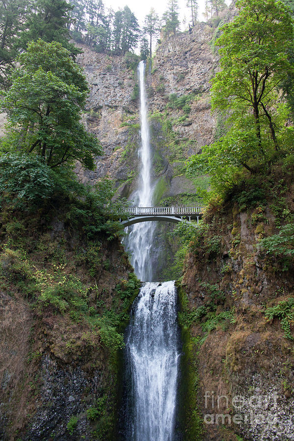 Multnomah Falls in the Columbia River Gorge in Oregon 5d3542 Photograph by Wingsdomain Art and Photography