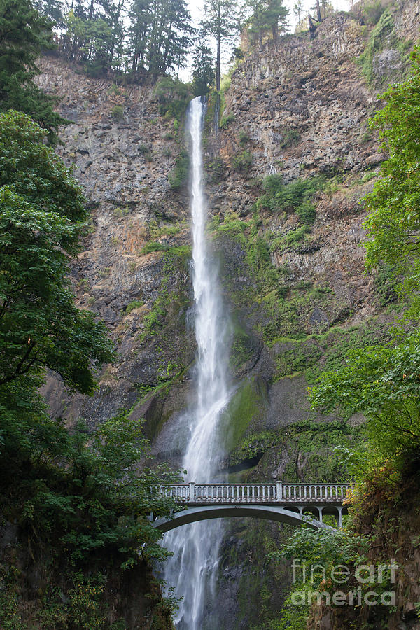 Multnomah Falls in the Columbia River Gorge in Oregon 5d3544 Photograph by Wingsdomain Art and Photography