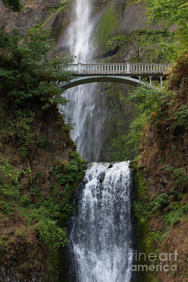 Multnomah Falls in the Columbia River Gorge in Oregon 5d3550 Photograph by Wingsdomain Art and Photography