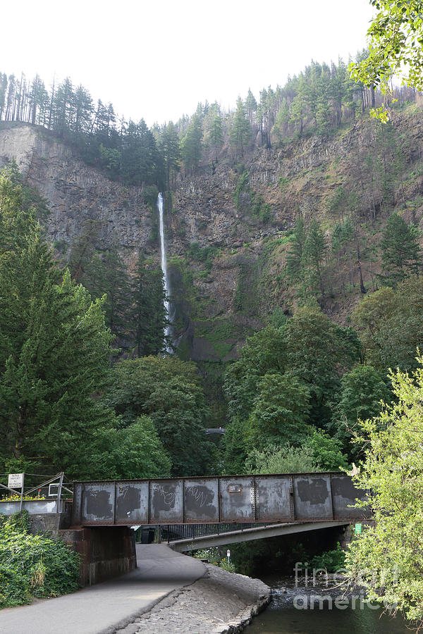 Multnomah Falls in the Columbia River Gorge in Oregon DSC6505 Photograph by Wingsdomain Art and Photography
