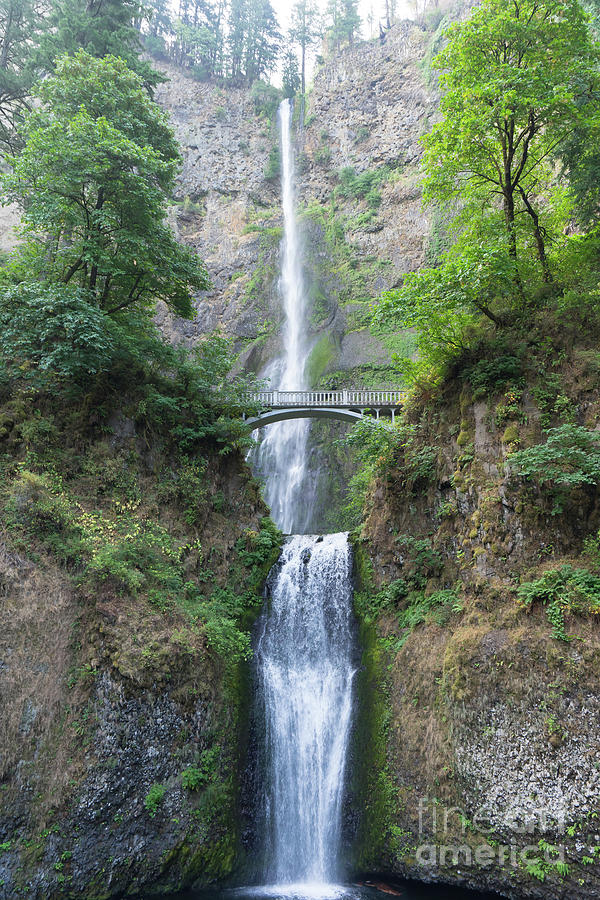 Multnomah Falls in the Columbia River Gorge in Oregon DSC6519 Photograph by Wingsdomain Art and Photography