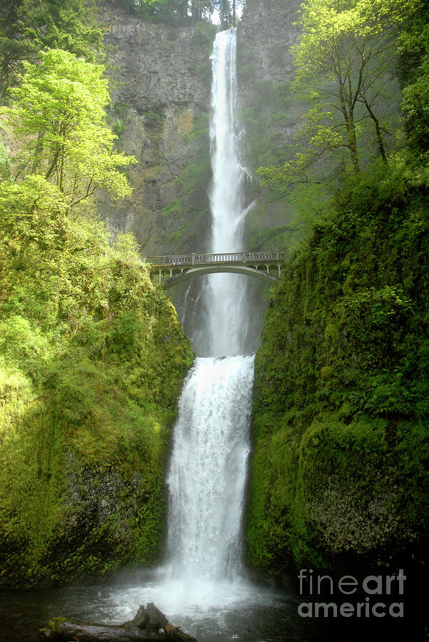 Multnomah Falls in the Spring Photograph by Denise Bruchman