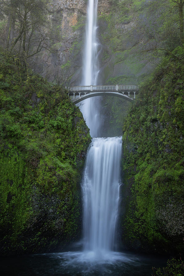 Multnomah Falls Photograph by Jared Perry