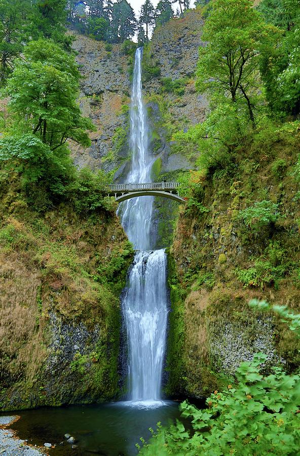 Multnomah Falls Photograph by Jesus Maldonado | Fine Art America