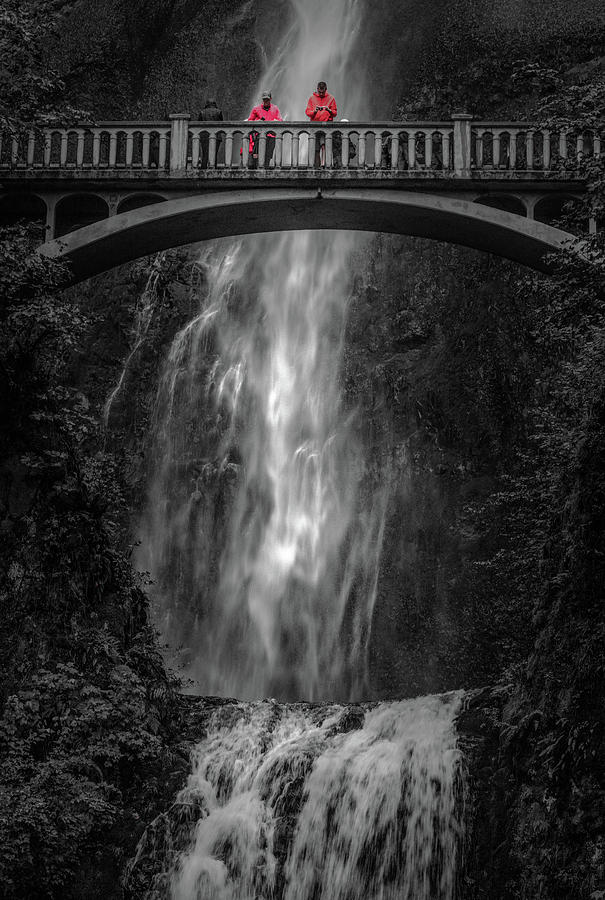 Multnomah Falls Photograph by Joy McAdams