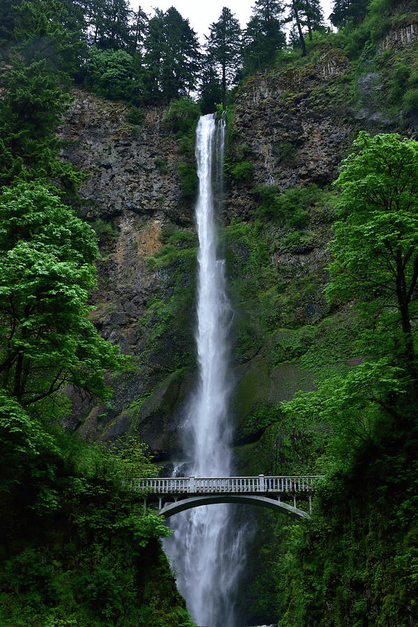 Multnomah Falls Photograph By Linda Baker - Fine Art America