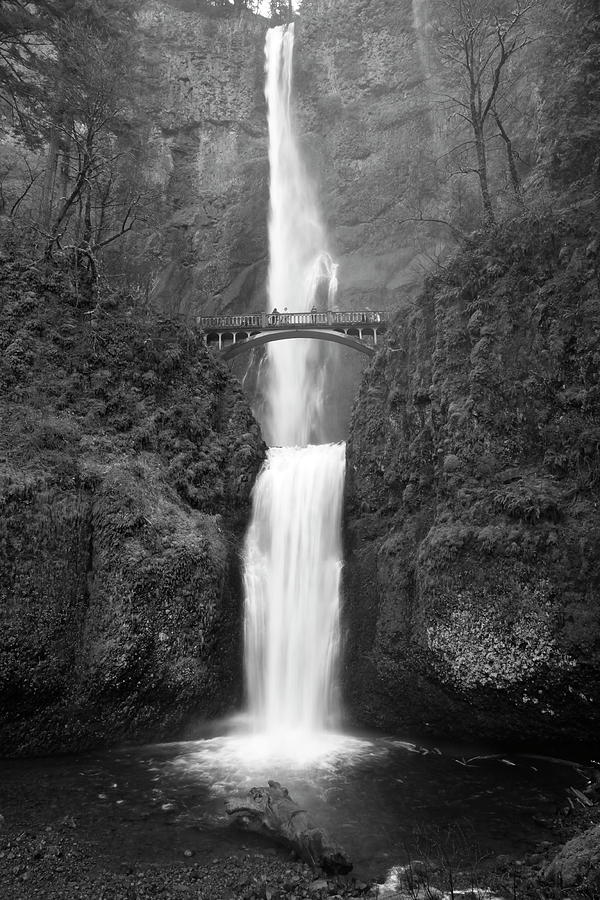 Multnomah Falls Photograph by Ryan Workman Photography
