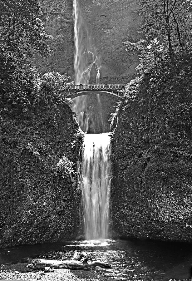 Multnomah Falls Oregon black and white Photograph by Rich Walter