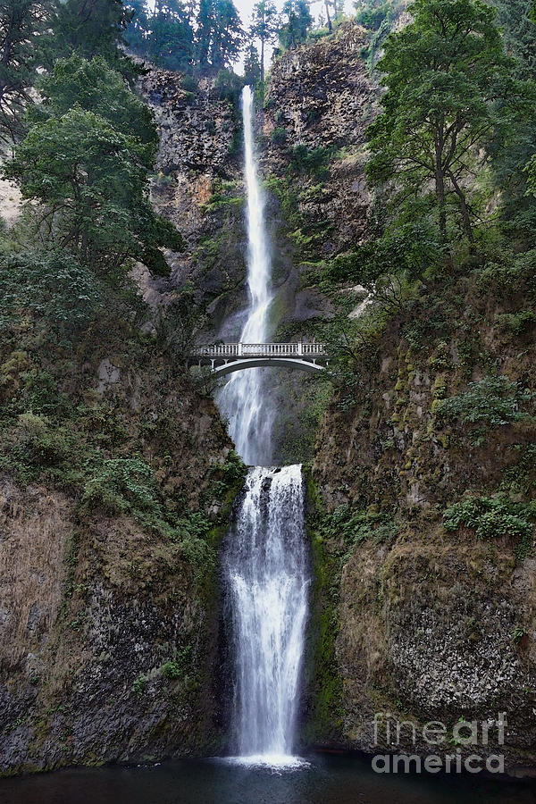 Multnomah Falls, Oregon Photograph by Catherine Sherman