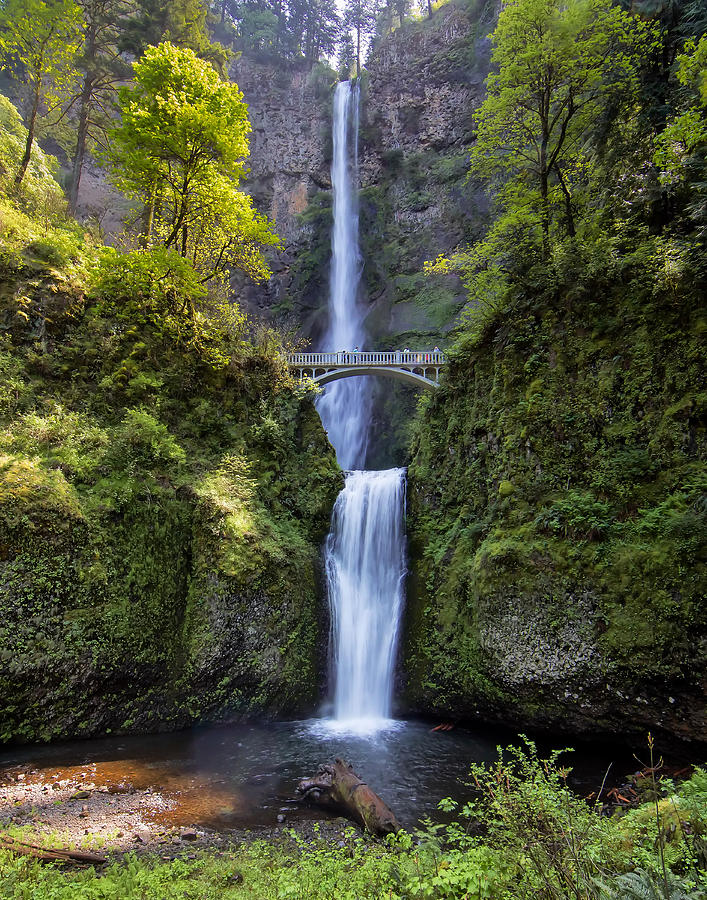 Multnomah Falls Portland Oregon Photograph by Jack Nevitt