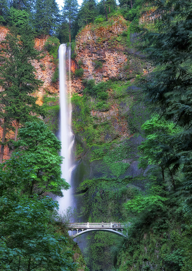 Multnomah Falls Portland Oregon Photograph by Robert Bellomy
