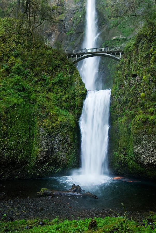 Multnomah Falls Photograph by Renee Cline