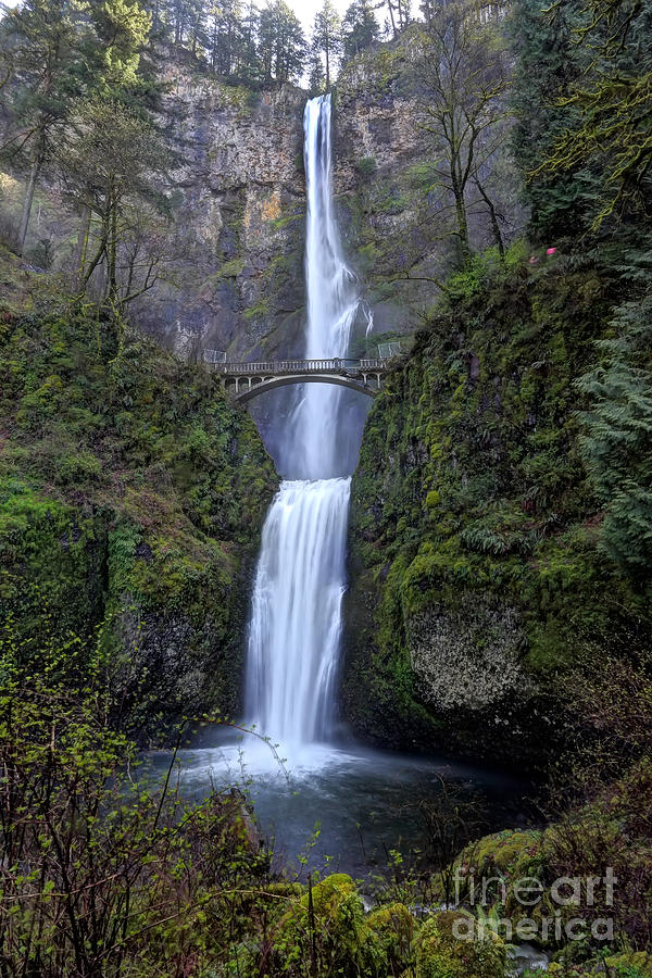 Waterfall Photograph - Multnomah Falls by Rick Mann Waterfall Photograph - Multnomah Falls by Rick Mann