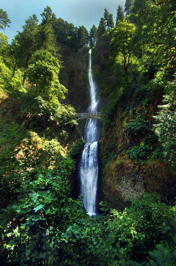 Nature Photograph - Multnomah Falls by Ron Brown Photography