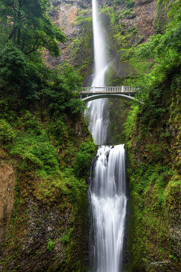 Multnomah Falls Photograph by Rowdy Winters