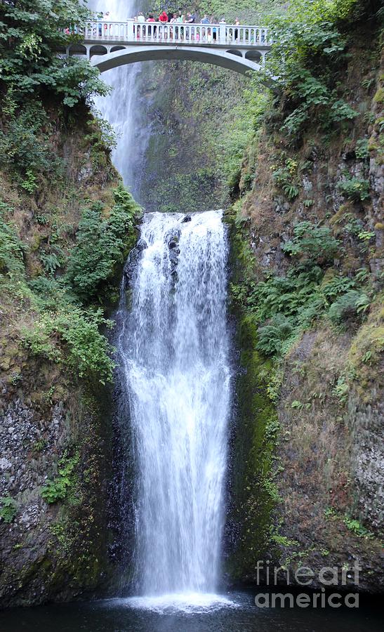 Multnomah Falls Photograph by Rupali Kumbhani