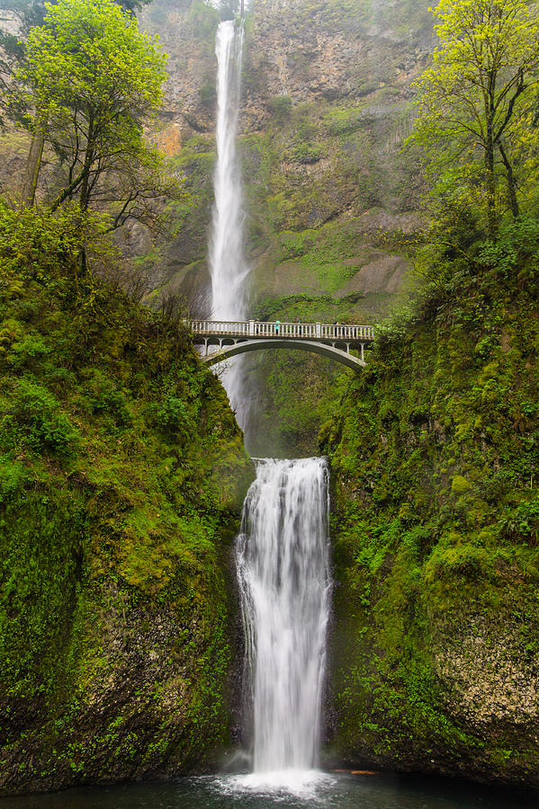 Multnomah falls Photograph by Sandra Ayala Photography | Fine Art America