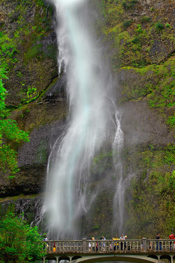 Multnomah Falls Photograph by SC Heffner
