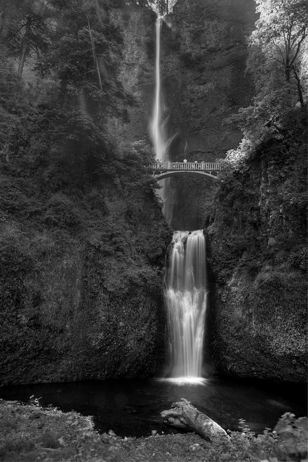 Multnomah Falls Photograph by Sue Cullumber