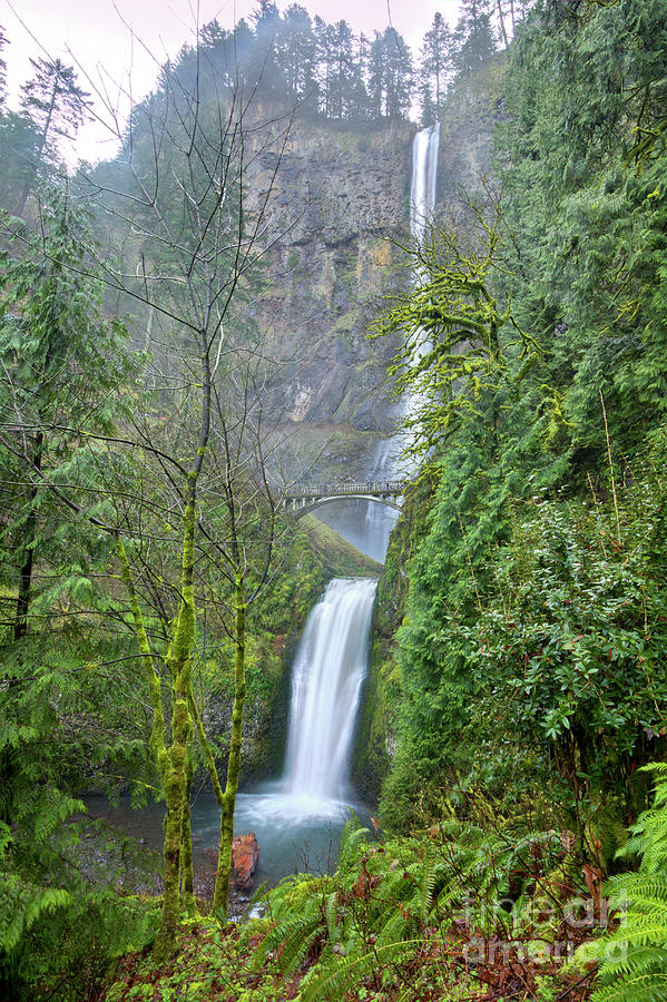 Waterfall Photograph - Multnomah Falls Waterfall Oregon Columbia River Gorge by Dustin K Ryan